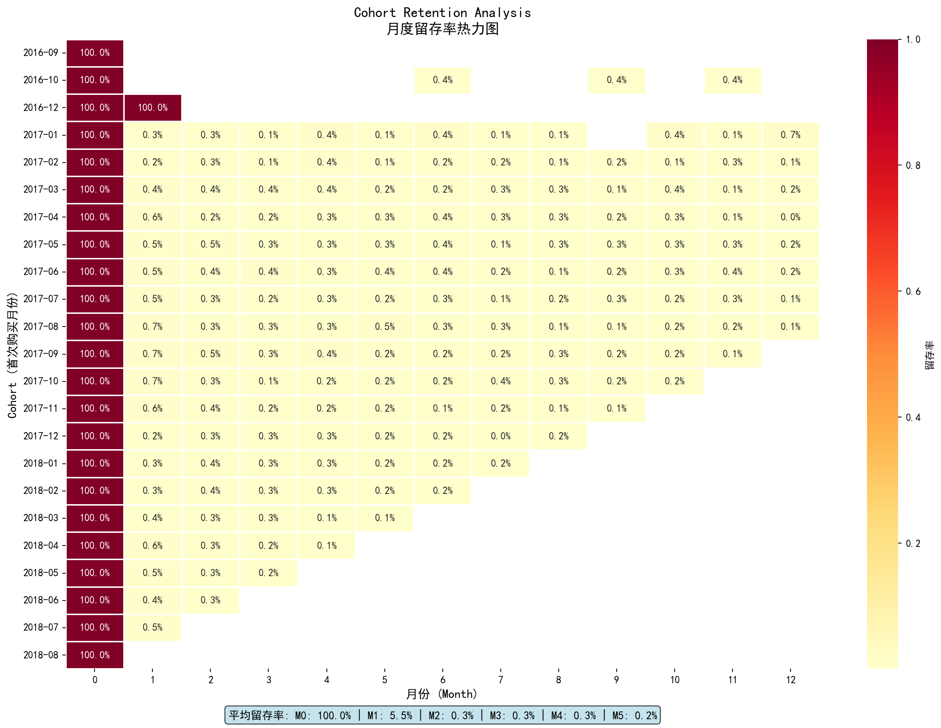 Cohort Retention